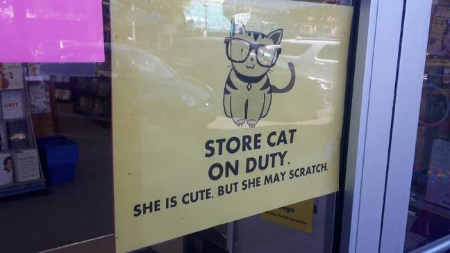 Store Cat